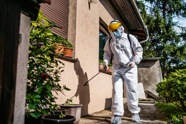 Best Termite Control Services  in Friendswood, TX