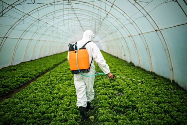 Best Pest Prevention Services  in Friendswood, TX