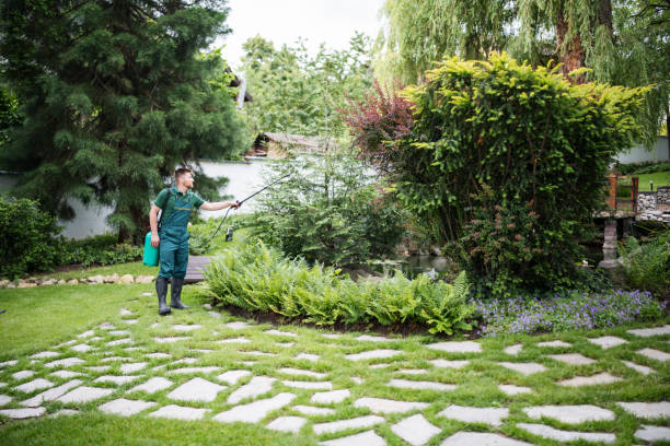 Best Affordable Pest Control Services  in Friendswood, TX