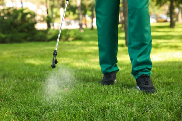 Best Emergency Pest Control  in Friendswood, TX