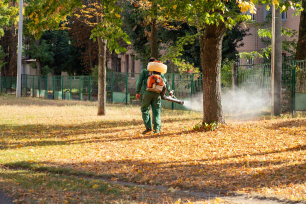 Best Best Pest Control Companies  in Friendswood, TX