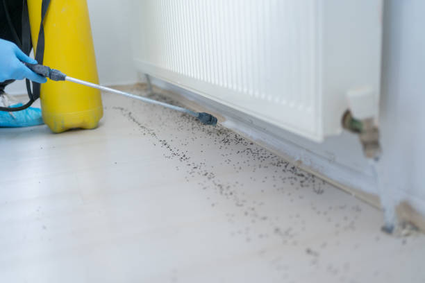 Best Commercial Pest Control Services  in Friendswood, TX